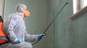 Best Mold Remediation for Rental Properties  in USA